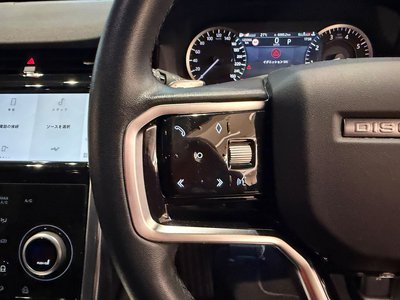 2024 LAND Rover DISCOVERY SPORT 缩略图 30