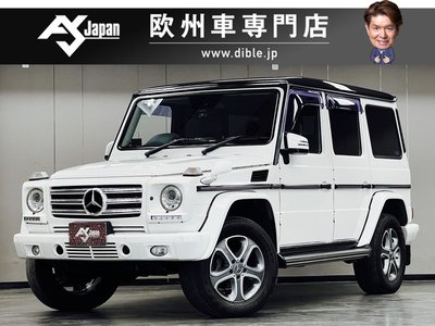 MERCEDES-BENZ G-CLASS - 1