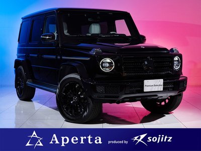 MERCEDES-BENZ G-CLASS - 1