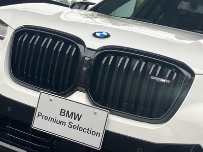 صورة 10 لـ 2023 BMW X3
