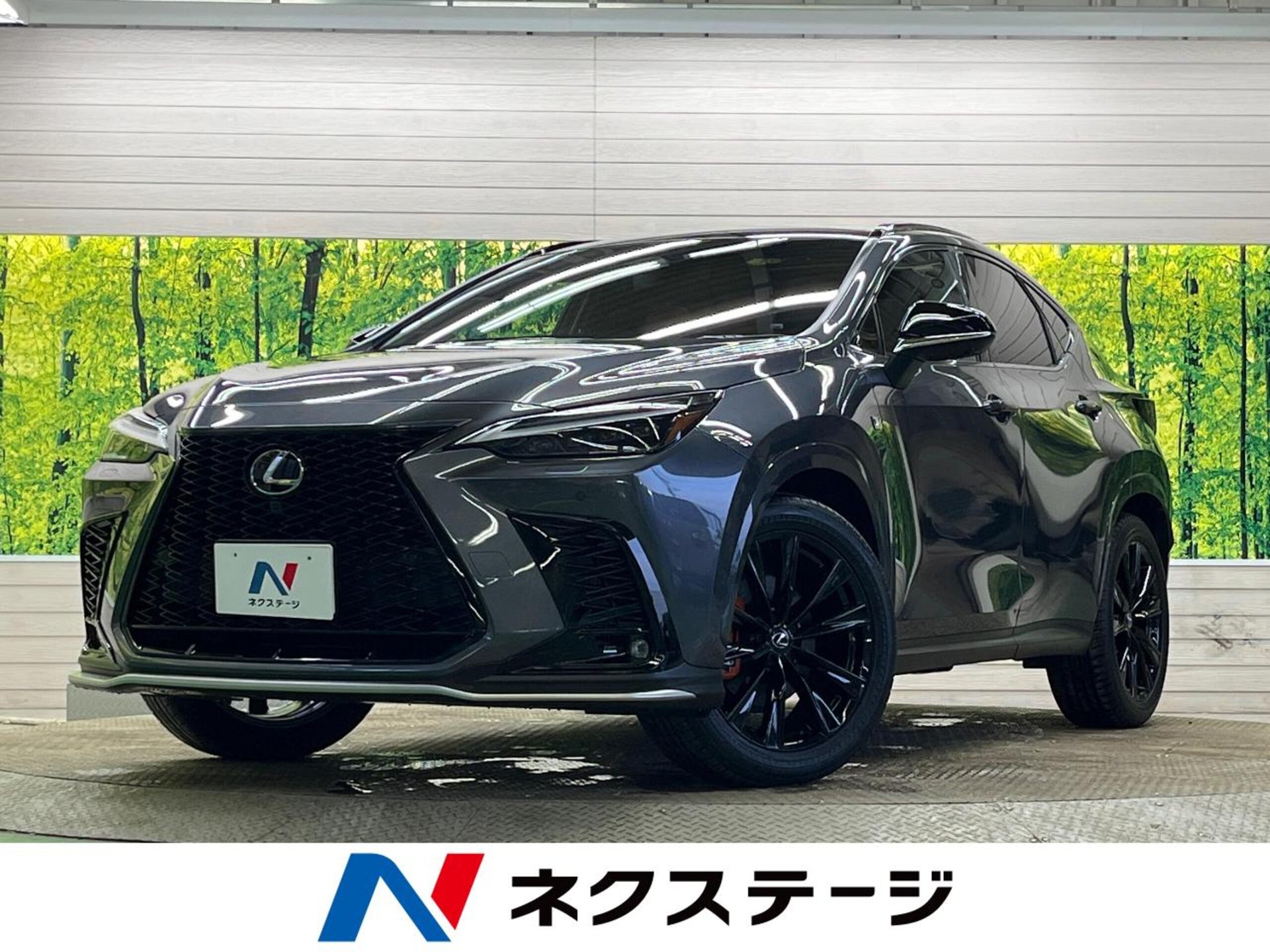 LEXUS NX - View 1