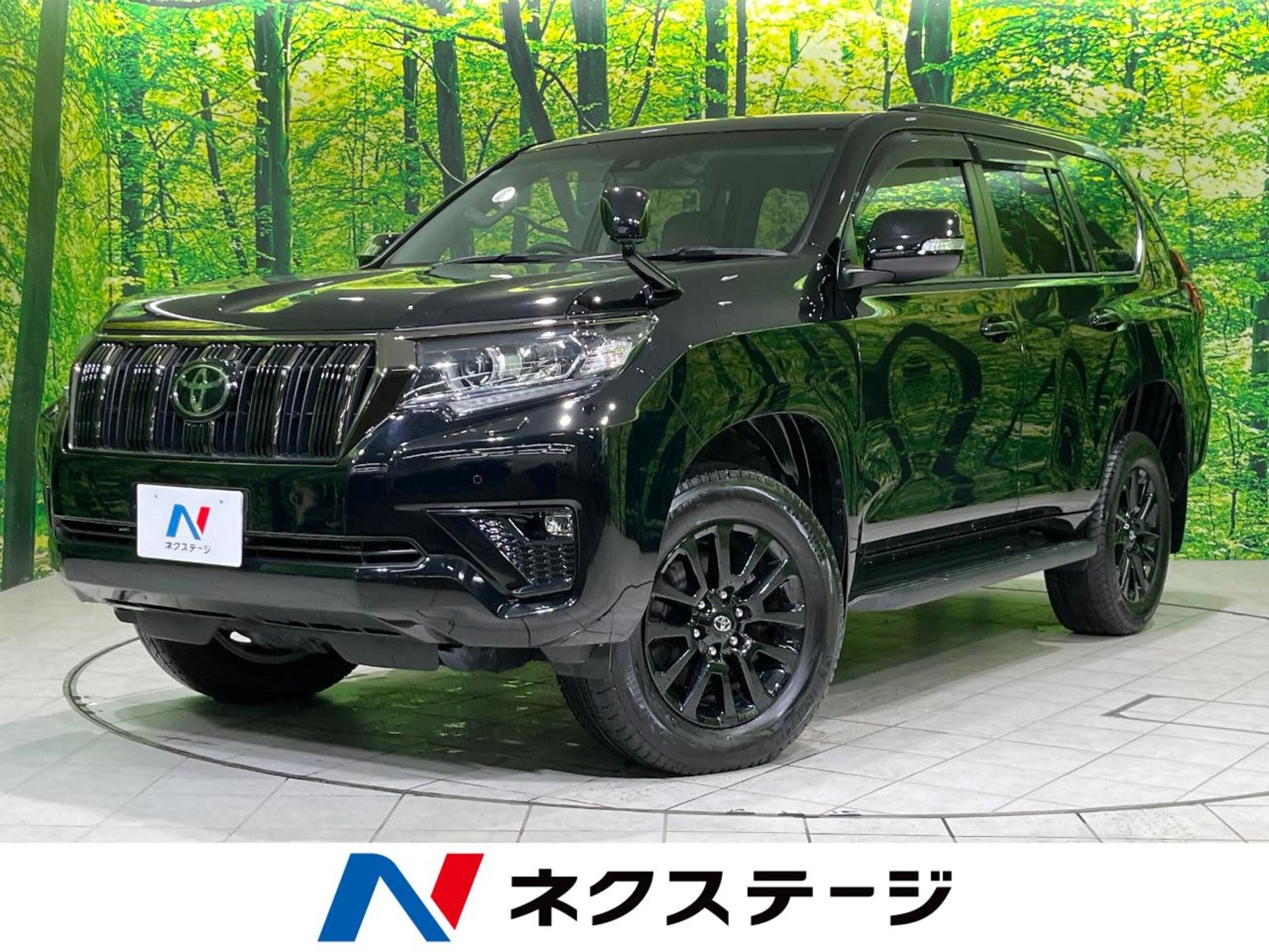TOYOTA LAND CRUISER PRADO - View 1