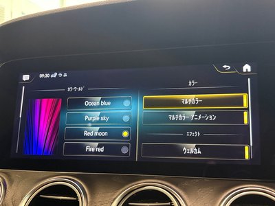 2021 Mercedes-BENZ E-CLASS — миниатюра 29