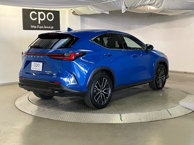 2022 Lexus NX — фото 10
