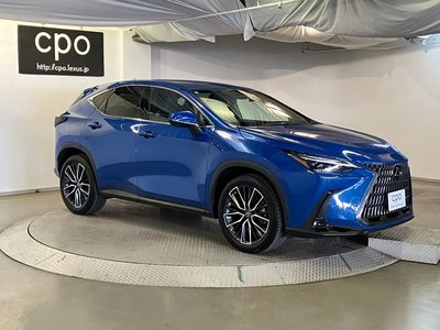 2022 Lexus NX — миниатюра 12