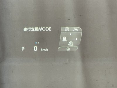 2025 Toyota ALPHARD 缩略图 19