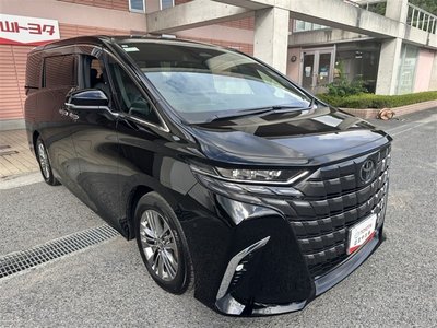 2025 Toyota ALPHARD 缩略图 24