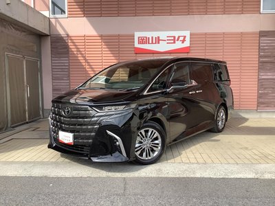 2025 Toyota ALPHARD 缩略图 48