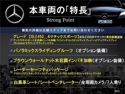 2019 Mercedes-BENZ GLE 照片 5