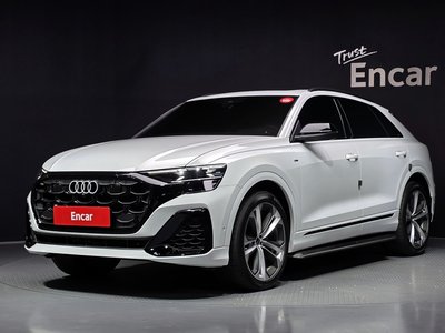 2025 AUDI Q8 照片 1