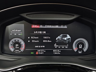 2025 AUDI Q8 缩略图 11
