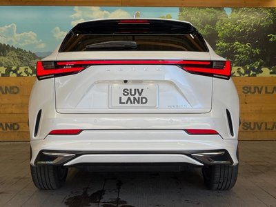 2023 Lexus NX — миниатюра 15