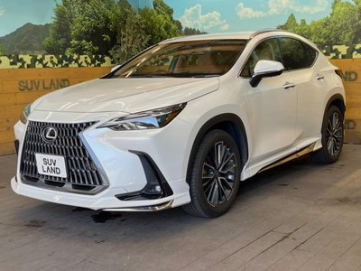 2023 Lexus NX — миниатюра 56
