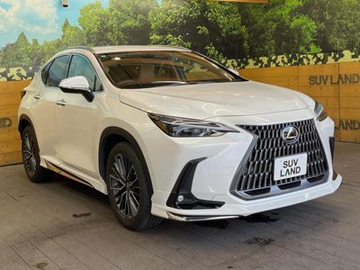 2023 Lexus NX — миниатюра 16