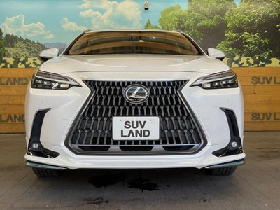2023 Lexus NX — миниатюра 14