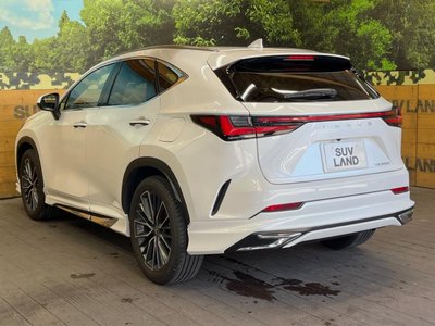 2023 Lexus NX — миниатюра 60