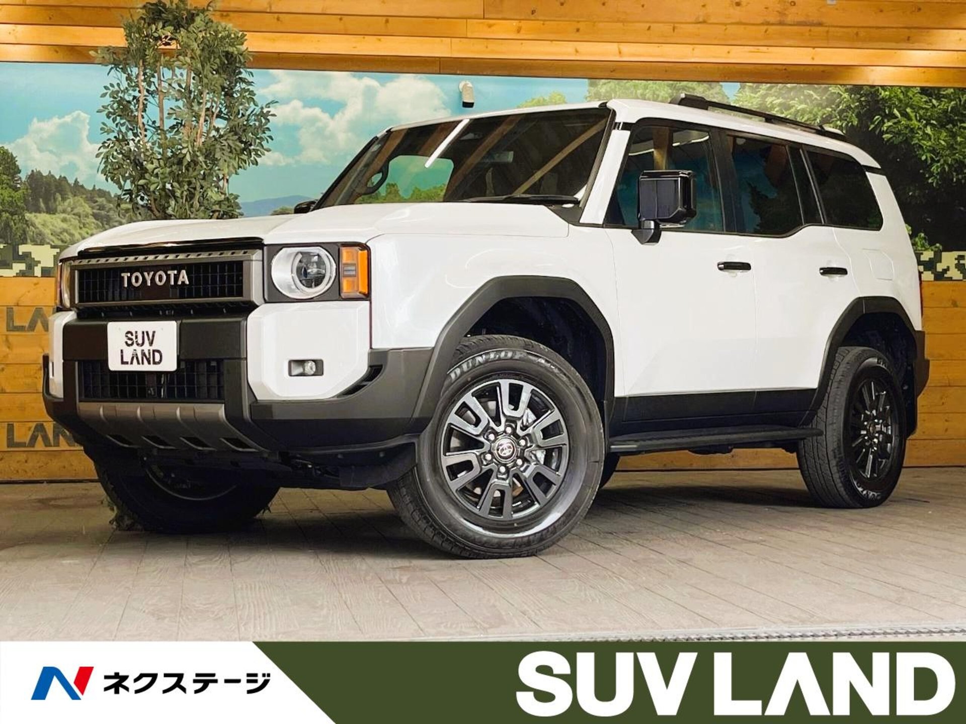 TOYOTA LAND CRUISER 250 - View 1