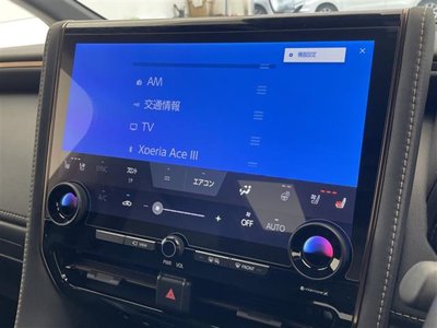 2025 TOYOTA ALPHARD photo 3