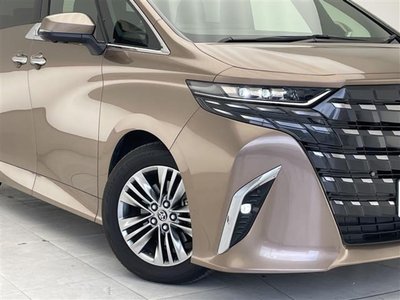 2025 TOYOTA ALPHARD thumbnail 29