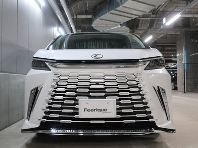 2024 LEXUS LM — фото 4