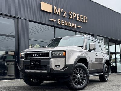 TOYOTA LAND CRUISER 250 - 10
