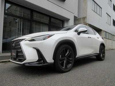 صورة 5 لـ 2023 Lexus NX