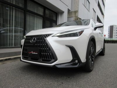 صورة 7 لـ 2023 Lexus NX