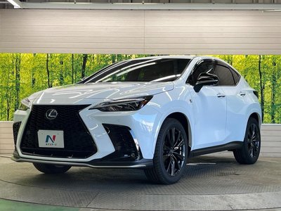 صورة مصغرة 62 لـ 2023 Lexus NX