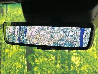 2025 Toyota LAND CRUISER 250 photo 4