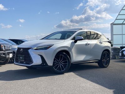 LEXUS NX - 1