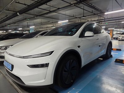 TESLA MODEL Y - 1