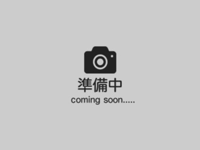 2022 NISSAN SKYLINE photo 1