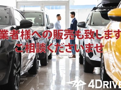 TOYOTA LAND CRUISER 250 - 3