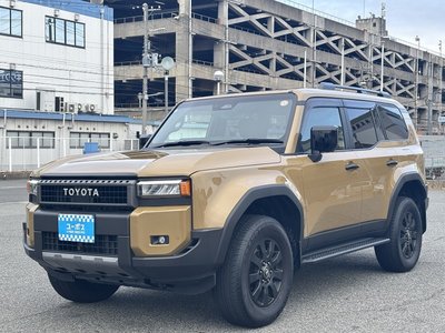 TOYOTA LAND CRUISER 250 - 9