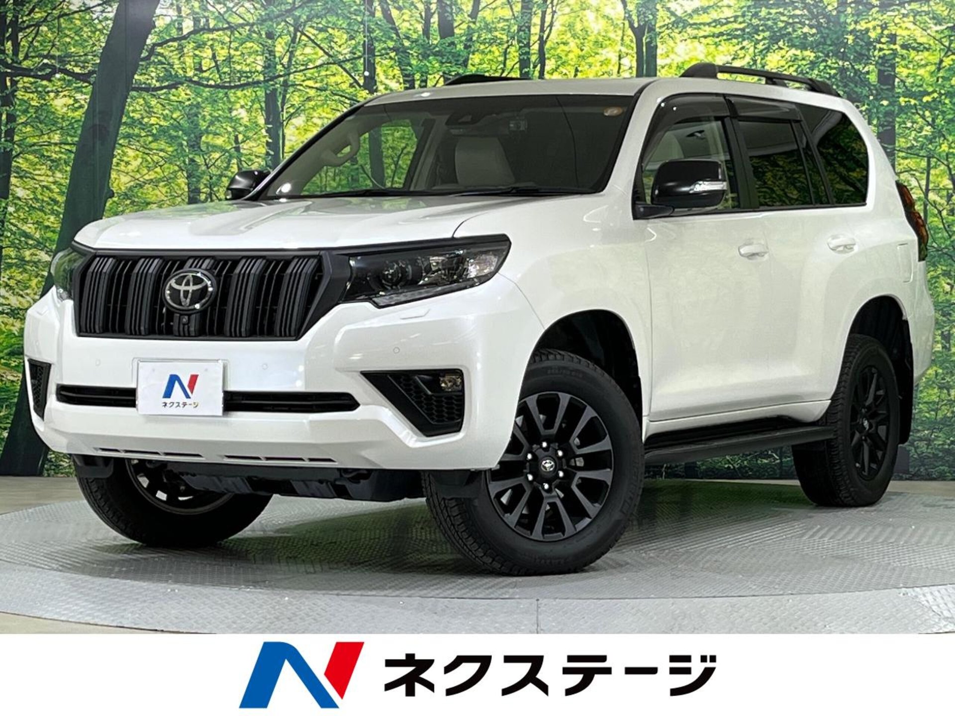 TOYOTA LAND CRUISER PRADO - View 1
