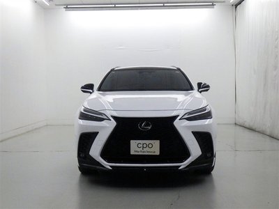 LEXUS NX - 4