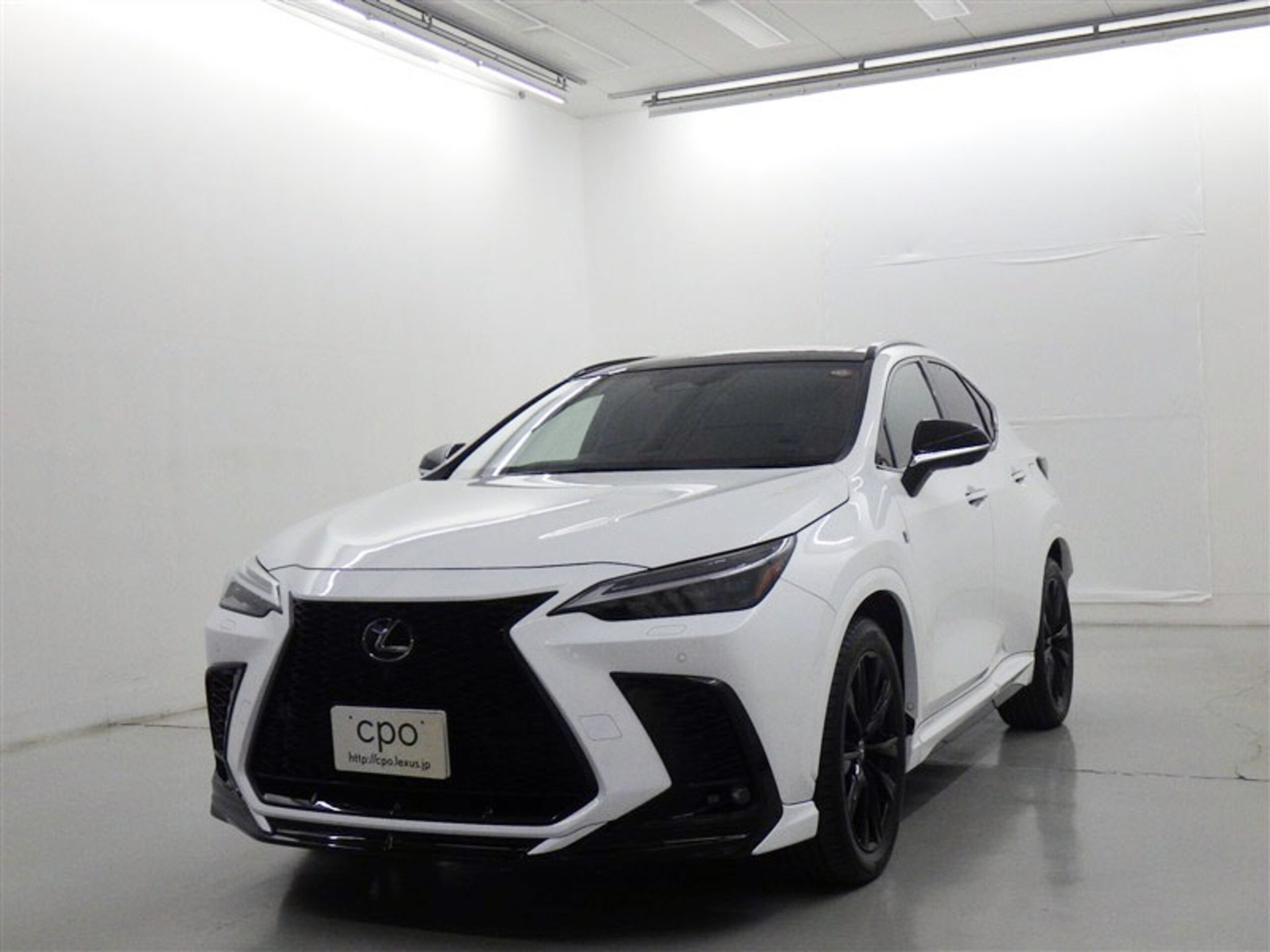 LEXUS NX - View 1