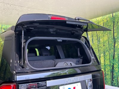 2024 Toyota LAND CRUISER 250 — миниатюра 79