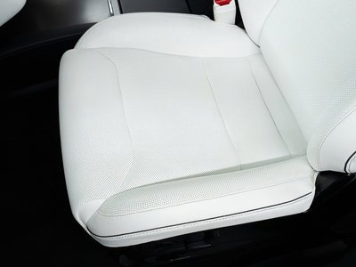 2017 Tesla MODEL X 缩略图 43