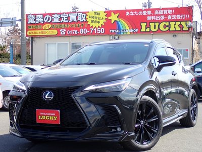 LEXUS NX - 1