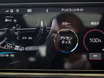 2020 Porsche PANAMERA 照片 8