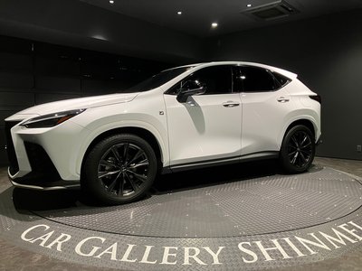 LEXUS NX - 10