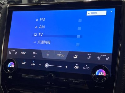 2024 TOYOTA ALPHARD 缩略图 53