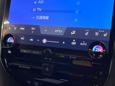 2024 TOYOTA ALPHARD 缩略图 55