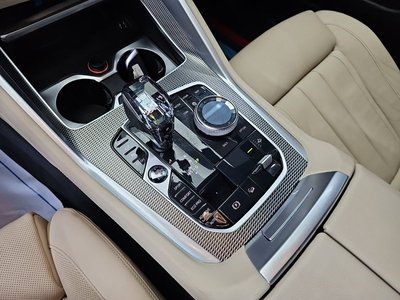 2021 BMW X6 照片 8