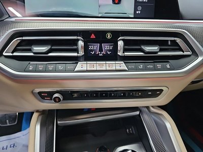 2021 BMW X6 照片 10