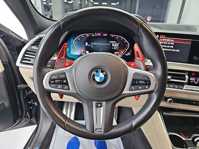 2021 BMW X6 照片 9
