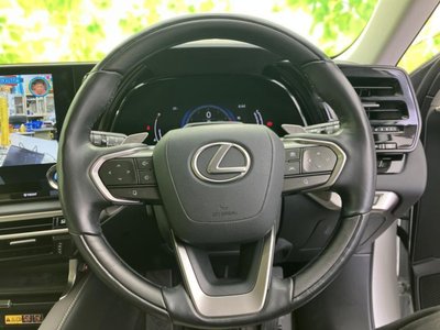 2023 Lexus RX thumbnail 13