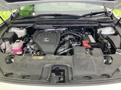 2023 Lexus RX thumbnail 44
