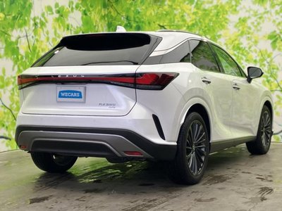 2023 Lexus RX 照片 3